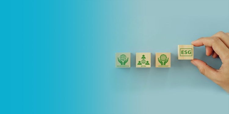 The Role of Corporate Boards in ESG Monitoring