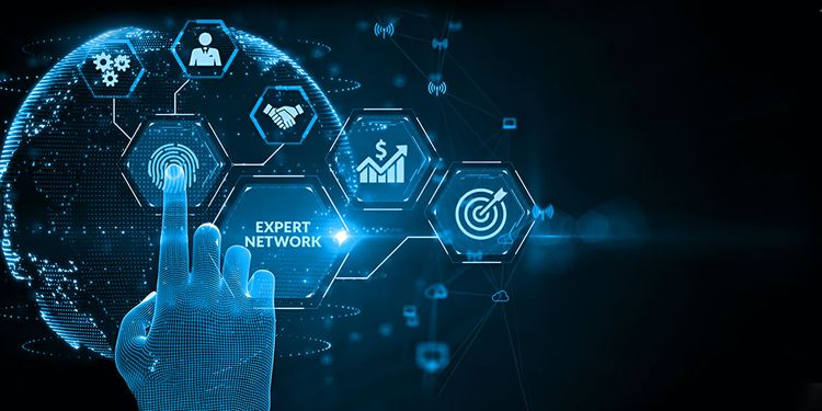 Easing Global Market Entry with Expert Network Firms