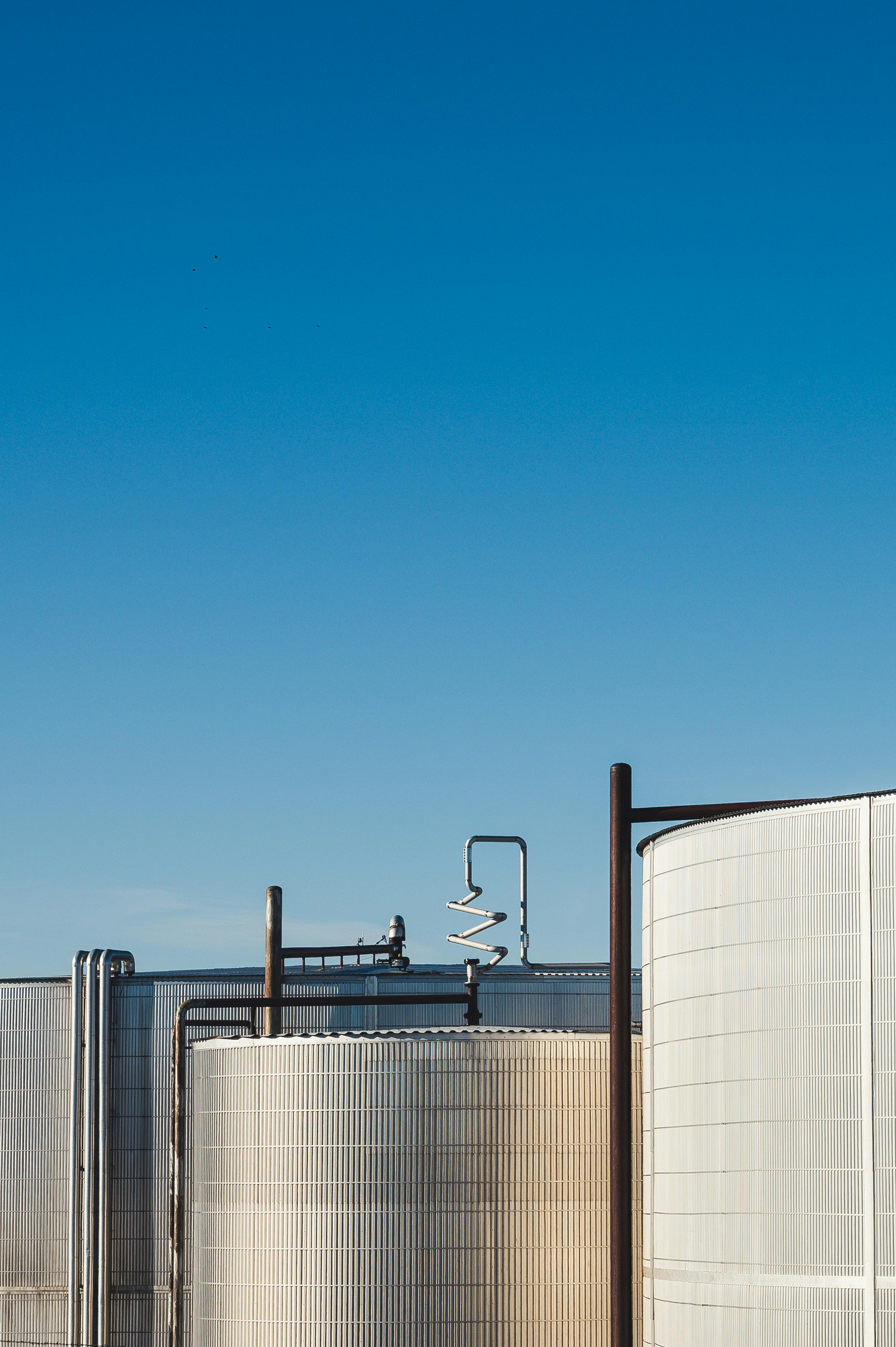 Fastest-Growing Segments in CGD