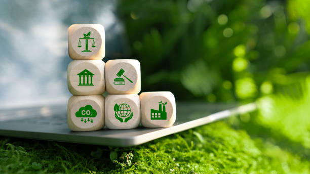 Volatility in Global Carbon Trading Markets