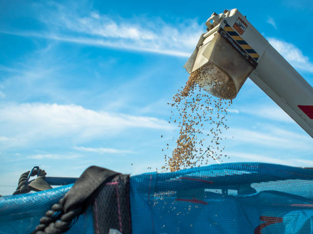 Operational Shifts in Food Manufacturing