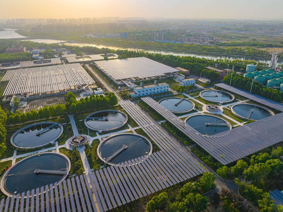 Green Standards Under Climate Stress